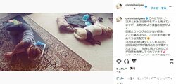 「もう仰向けがキツくなってきました」 第2子妊娠中の滝川クリステル、愛犬との“最新ショット”が話題
