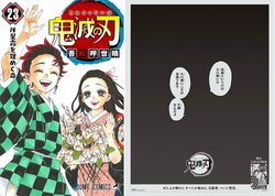 『鬼滅の刃』新聞全面広告にファン反響「漫画の広告なのに絵がない」「めっちゃかっこいい」完結巻発売に祝福の声