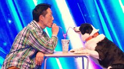 ボーダーコリーと脱サラドッグトレーナーのミュージカルに浜田＆GACKTにっこり「よくここまでパフォーマンスできたな」