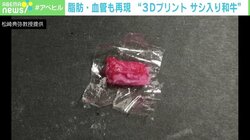 “サシ入り和牛”を3Dプリントで構築する世界初の試み ゆくゆくは医療への応用を 大阪大・松崎教授