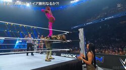 「なんちゅう格好w」「すっげえコスチュームw」女子レスラーのリングコスにファン騒然