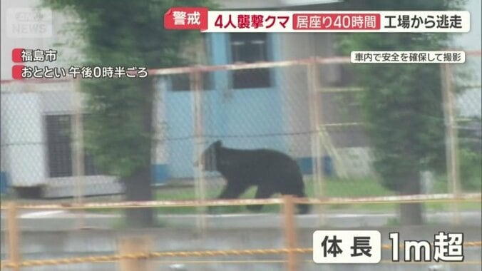 工場内に侵入し居座る