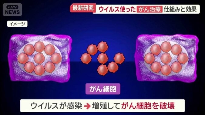 がん細胞を破壊