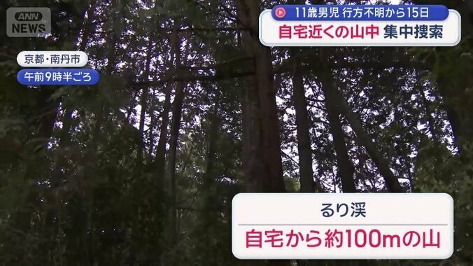 自宅から100メートルほど離れた山