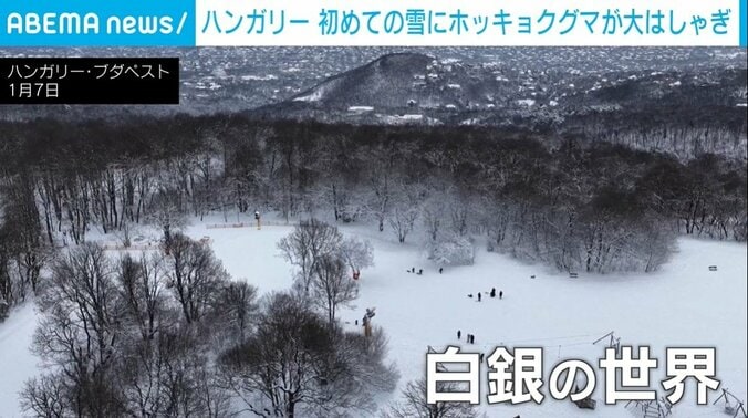 白銀の世界に包まれたハンガリー・ブタペスト