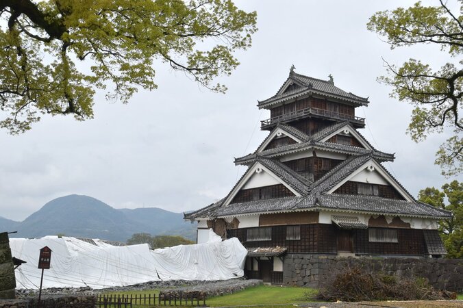 総工費600億円以上、工期20年…　地震から１年、前代未聞の大修復が始まる熊本城を取材 11枚目