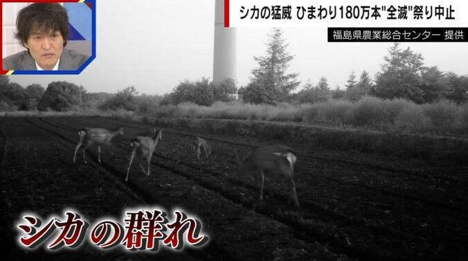 提供：福島県農業総合センター