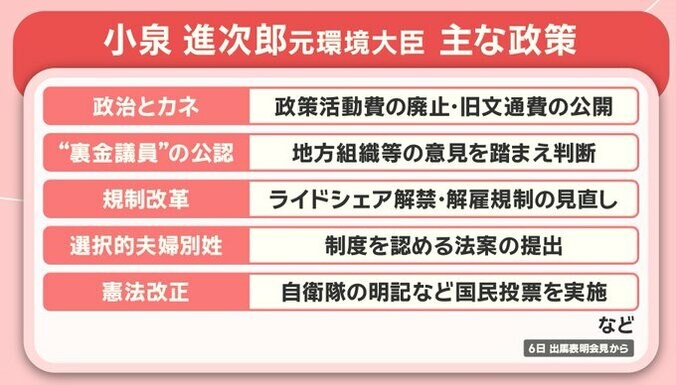 小泉元環境大臣の主な政策