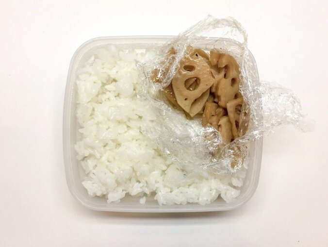 ホラン千秋、今年初のお弁当ブログを更新「どこかの国旗みたい」 4枚目