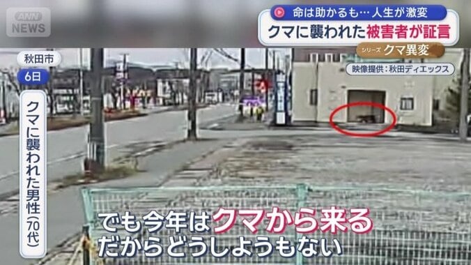 「今年はクマから来る」