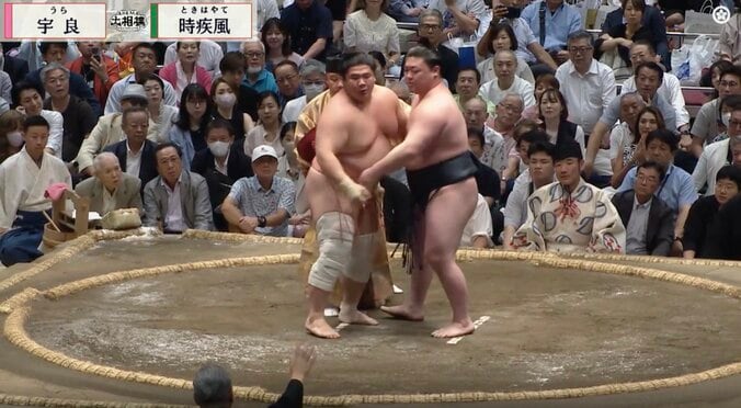 一旦は立ち合いが成立したかに見えたが、取組は中断