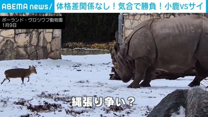 ポーランド・ヴロツワフ動物園