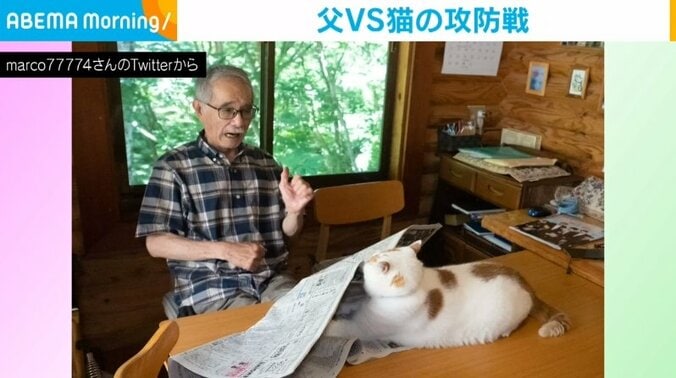 新聞の上に乗る猫 VS そのまま新聞紙で包む父 キュートな攻防に「きずなを感じる」「リアクション最高」の声 1枚目