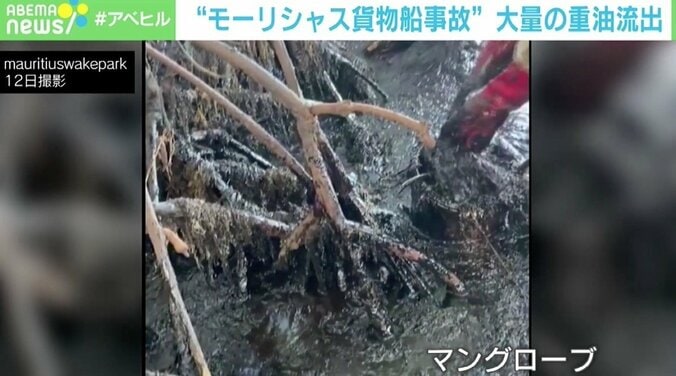 重油拡散防止へ“髪の毛”で協力 モーリシャス現地邦人が語る現状と支援「これをきっかけにいい方向へ」 2枚目