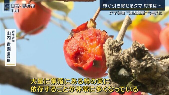 岩手大学　山内貴義准教授