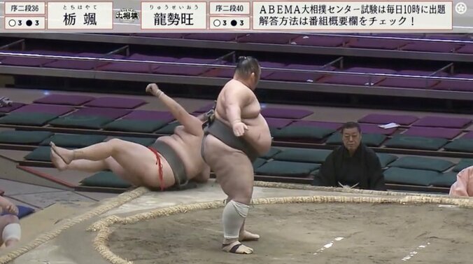 謎のポーズを取る栃颯