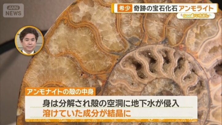 時間をかけて「天然の鉱物」へ