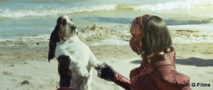 犬好き必見の映画が公開中 かわいらしい瞳と耳のバセット ハウンドとは ニュース Abema Times