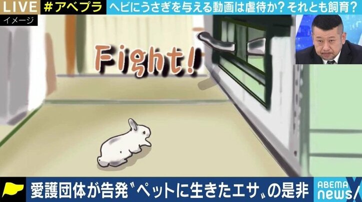 生きたエサ食べさせる動画 一体どこまで制限すべき Youtuberを刑事告発した動物愛護団体代表と議論 国内 Abema Times