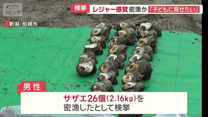自らの違反行為を認めた