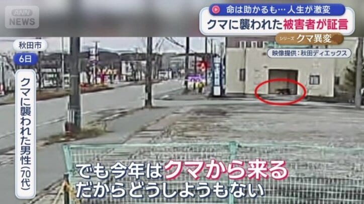 「今年はクマから来る」