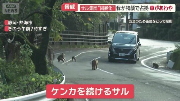 路上でけんかも