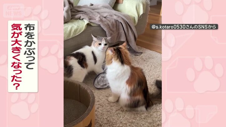 気持ちが大きくなってる？