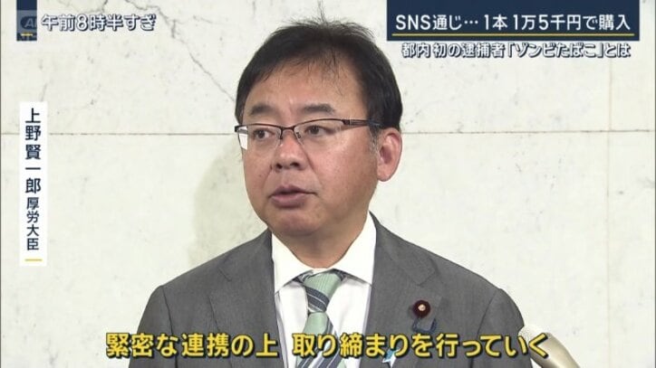 上野 賢一郎厚生労働大臣