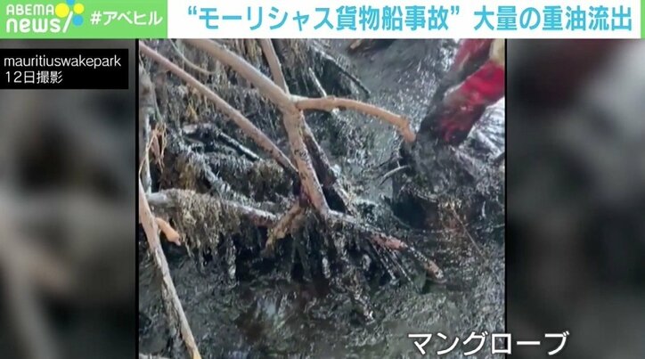 重油拡散防止へ“髪の毛”で協力 モーリシャス現地邦人が語る現状と支援「これをきっかけにいい方向へ」