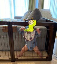 八田亜矢子『やんちゃボーイ』