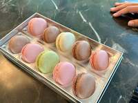 つんく♂『初マカロンの次女』