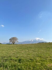 天津木村『皆様へご報告』