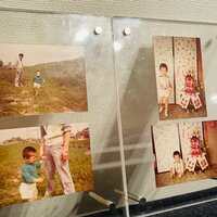 だいたひかる『冷や汗が出た』