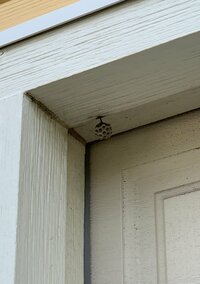 花田虎上『今年もまた』