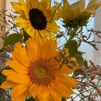 矢沢心『Happy Father's day』