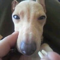 坂上忍『ＨＡＰＰＹ　ＢＩＲＴＨＤＡＹ』