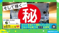 【映像】光を放つ前のジャノメガザミとの比較ショット