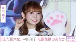 妊娠後期の中川翔子「双子ですか？」「3つ子じゃない？」と話題のおなかが“巨大化” 産後復帰の不安も吐露