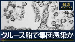【報ステ解説】日本に拡大の可能性は？“ハンタウイルス”クルーズ船で集団感染か