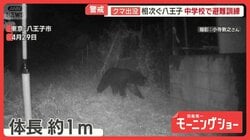 多摩川河川敷に“大型獣”の痕跡　東京のクマ「分布拡大中」　観光地に影響も