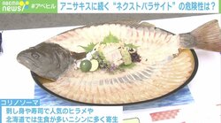 アニサキスの次は「コリノソーマ」? ヒラメやニシンに…新たな寄生虫に医師が警鐘