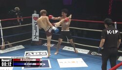 【画像】衝撃の連打で生まれたての小鹿KO