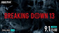 Breaking Down13（ブレイキングダウン13）結果速報・対戦カード・大会情報