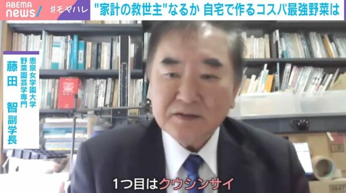 恵泉女学園大学 野菜園芸学専門 藤田智副学長