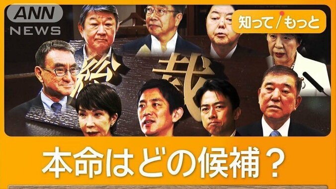 自民総裁選、推薦人名簿から思惑が判明　専門家は「バラバラの状況」　本命不在か 1枚目