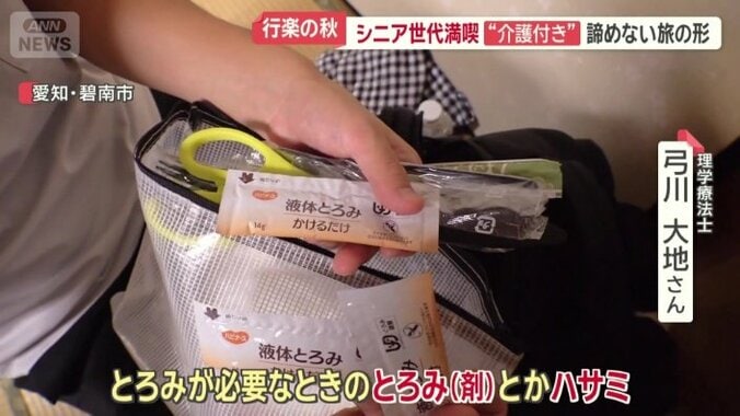 介護付きツアーならではのポイントも