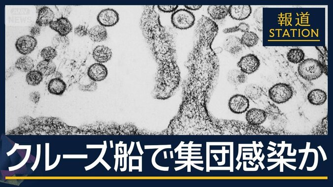 【報ステ解説】日本に拡大の可能性は？“ハンタウイルス”クルーズ船で集団感染か 1枚目