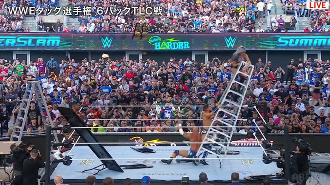 リング上、ラダーのキャンディスが衝撃落下