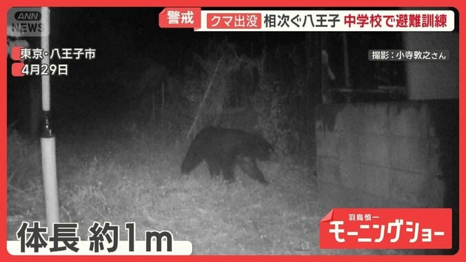 多摩川河川敷に“大型獣”の痕跡　東京のクマ「分布拡大中」　観光地に影響も 1枚目