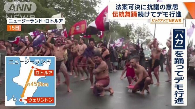 法案に抗議するおよそ1万人がハカを踊りながらデモ行進